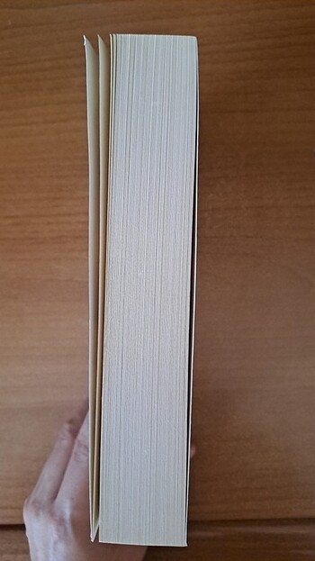  Beden Cecelia Ahern-not:seni seviyorum