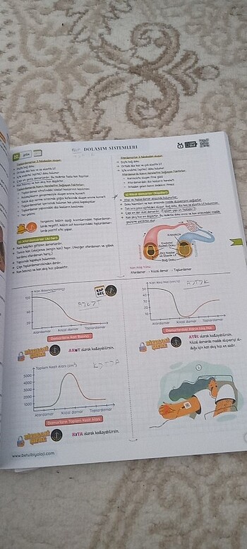  Beden Betül biyiloji ayt