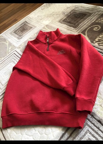 Nar çiçeği rengi Fermuarlı erkek Sweatshirt