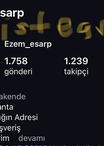 Armine Çiçek Desenli Kadın İpek eşarp