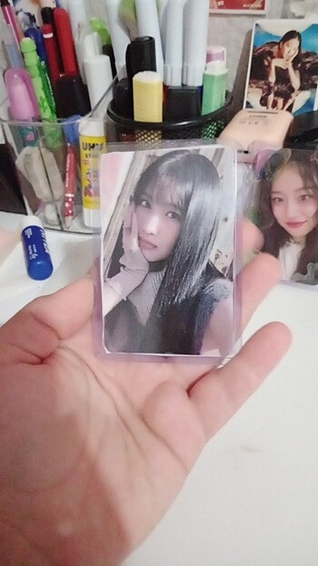  Beden Momo pc