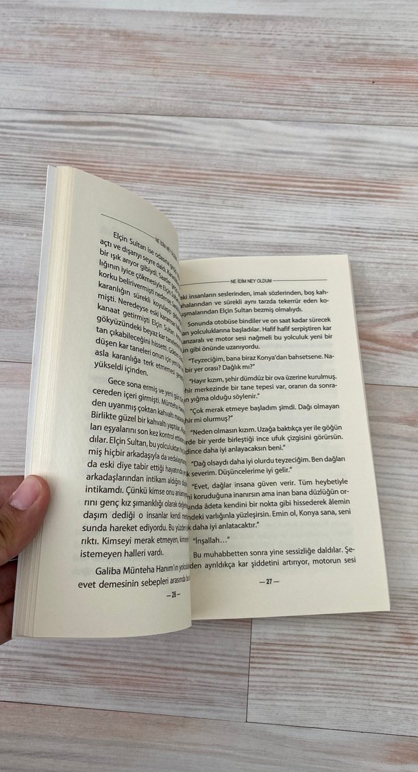 Ne İdim Ney Oldum - Rabia Sümer - Görsel 3