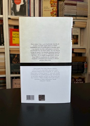 Henry James - Kısa Romanlar, Uzun Öyküler