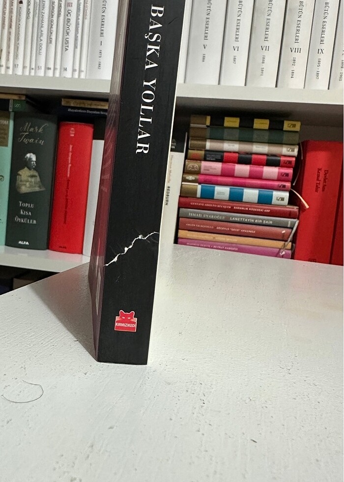 Enis Batur - Başka Yollar - Görsel 5