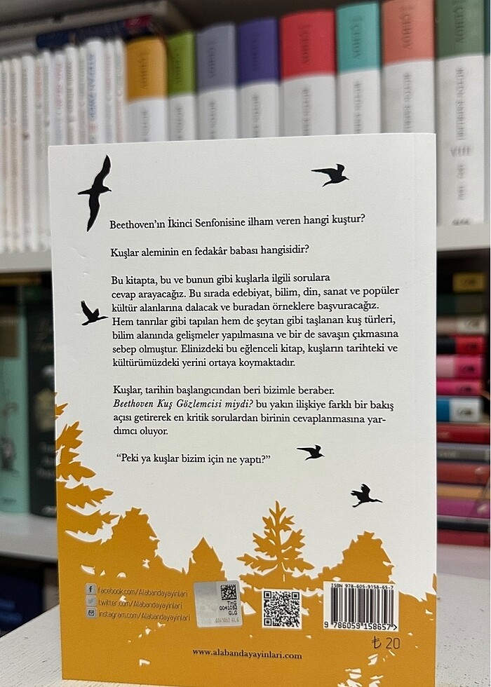 Beethoven Kuş Gözlemcisi Miydi? - David Turner - Görsel 3