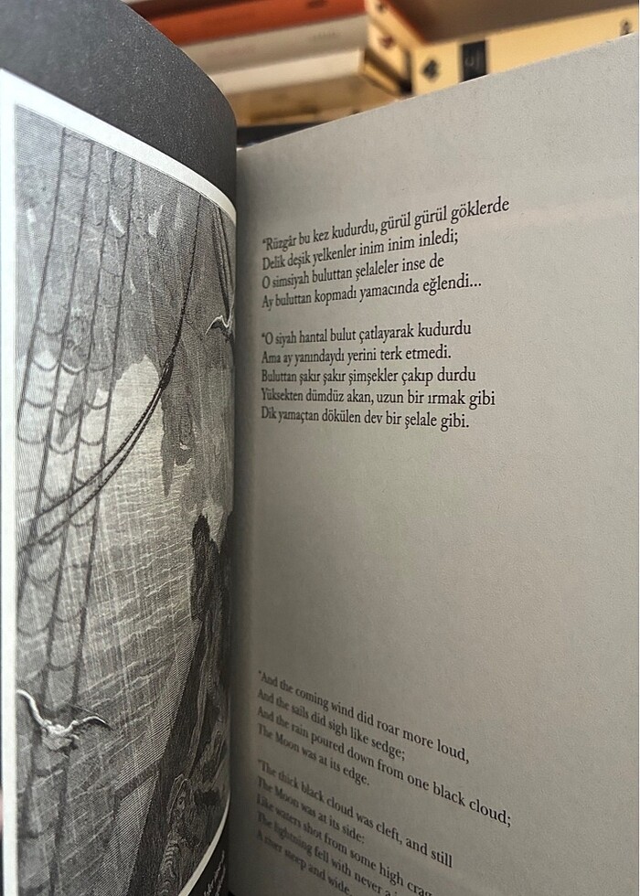 Yaşlı Denizci (Ciltli) Coleridge - Görsel 5