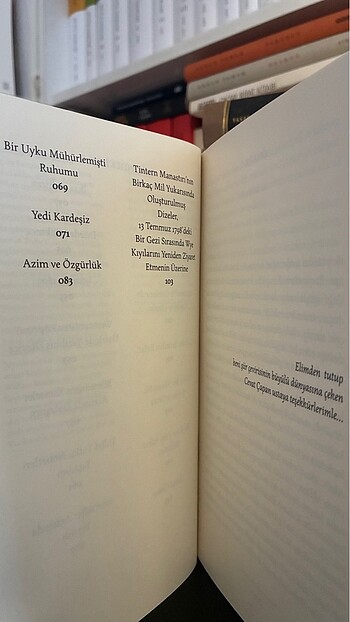 Bir Bulut Gibi - William Wordsworth - Görsel 5