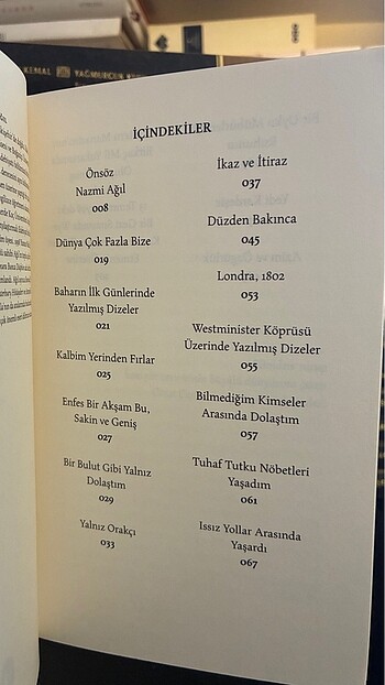 Bir Bulut Gibi - William Wordsworth - Görsel 4