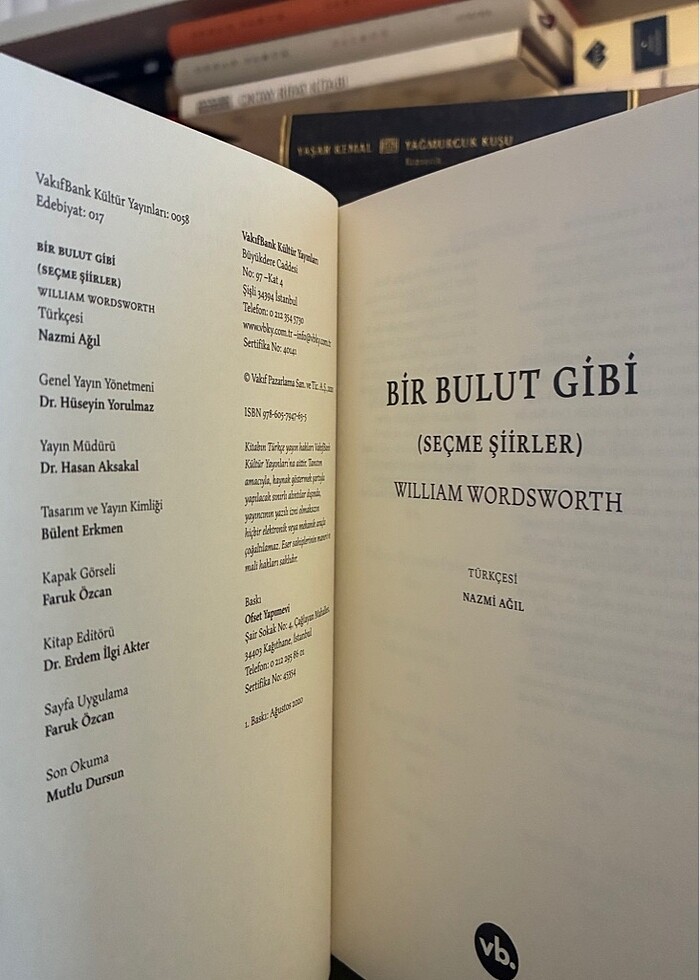 Bir Bulut Gibi - William Wordsworth - Görsel 3