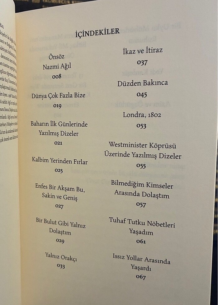 Bir Bulut Gibi - William Wordsworth - Görsel 4