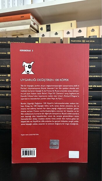 Sam Stall - Uygarlığı Değiştiren 100 Köpek - Görsel 3