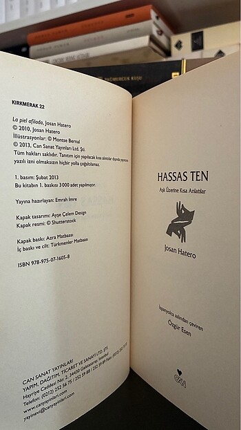 Hassas Ten: Aşk Üzerine Kısa Anlatılar - Görsel 4
