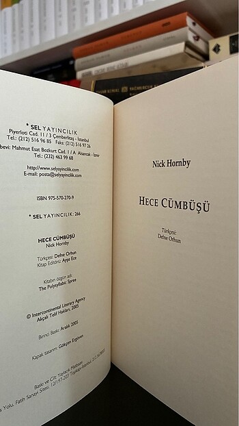 Nick Hornby - Hece Cümbüşü - Görsel 4