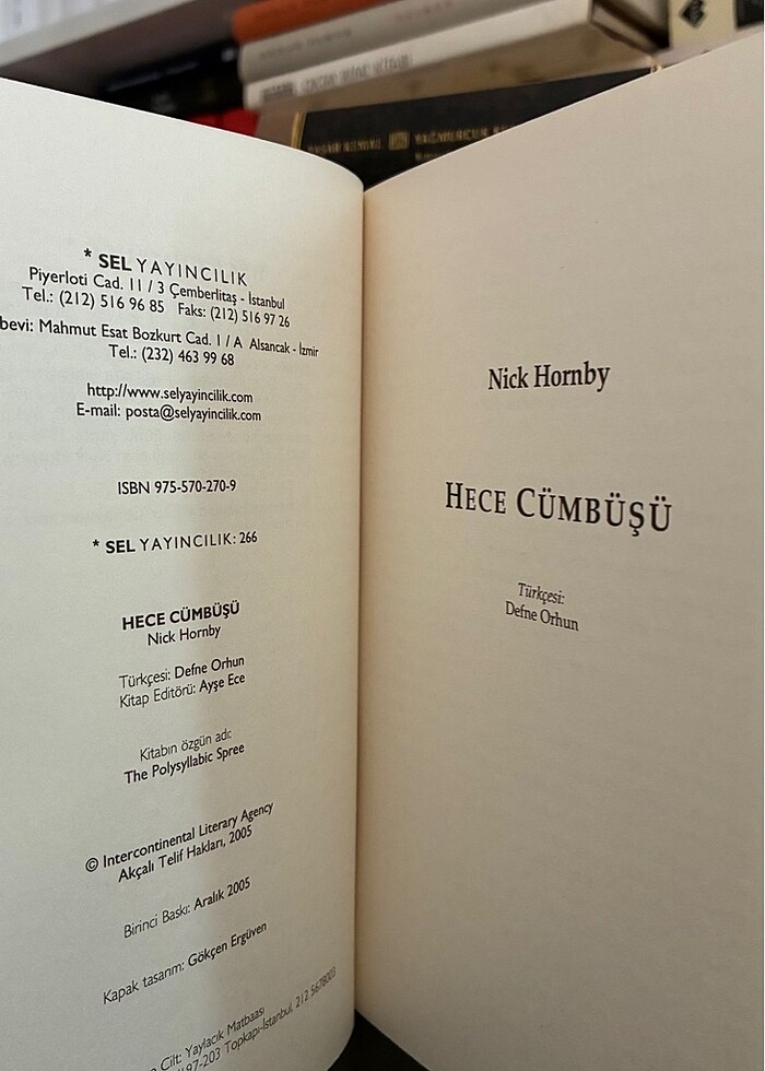 Nick Hornby - Hece Cümbüşü - Görsel 4