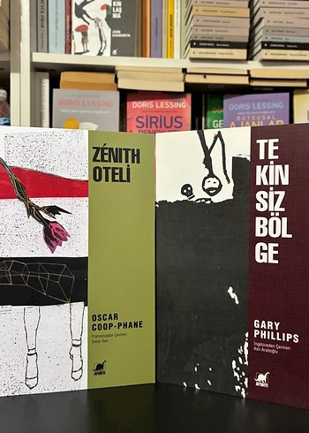 Beden Renk 19 Ayrıntı Yayınları Yeraltı Edebiyatı