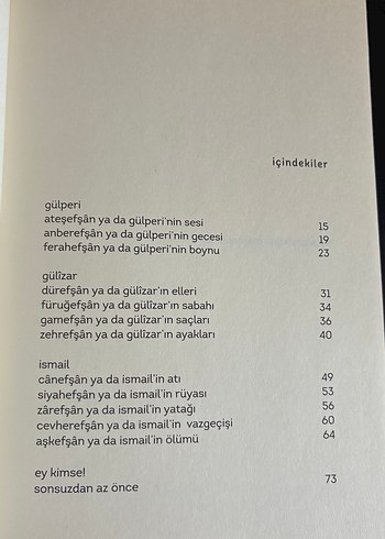 Bir Dağ Ki Hiç Olmadı - Cevahir Bedel - Görsel 6