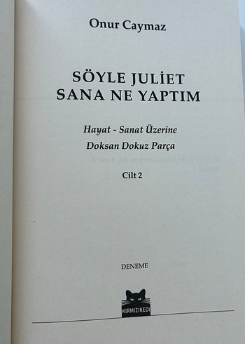 Söyle Juliet Sana Ne Yaptım - Onur Caymaz - Görsel 5