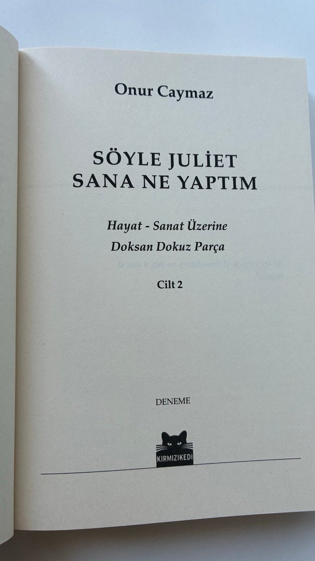 Söyle Juliet Sana Ne Yaptım - Onur Caymaz - Görsel 5