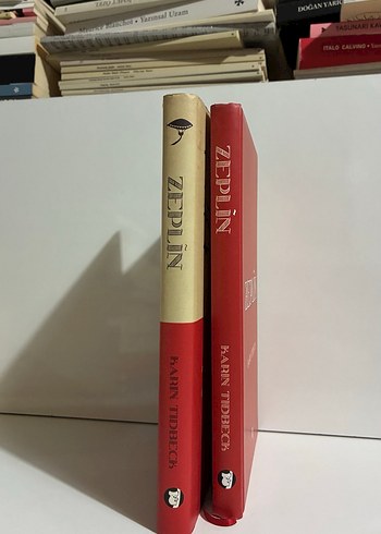 Zeplin - Karin Tidbeck - Görsel 2