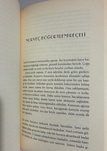 Zeplin - Karin Tidbeck - Görsel 6