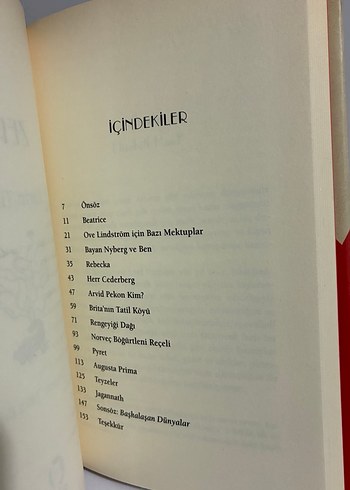 Zeplin - Karin Tidbeck - Görsel 4