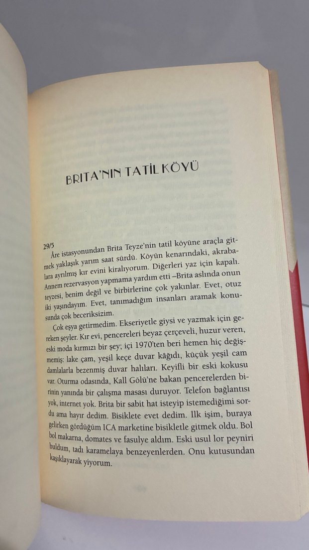 Zeplin - Karin Tidbeck - Görsel 5