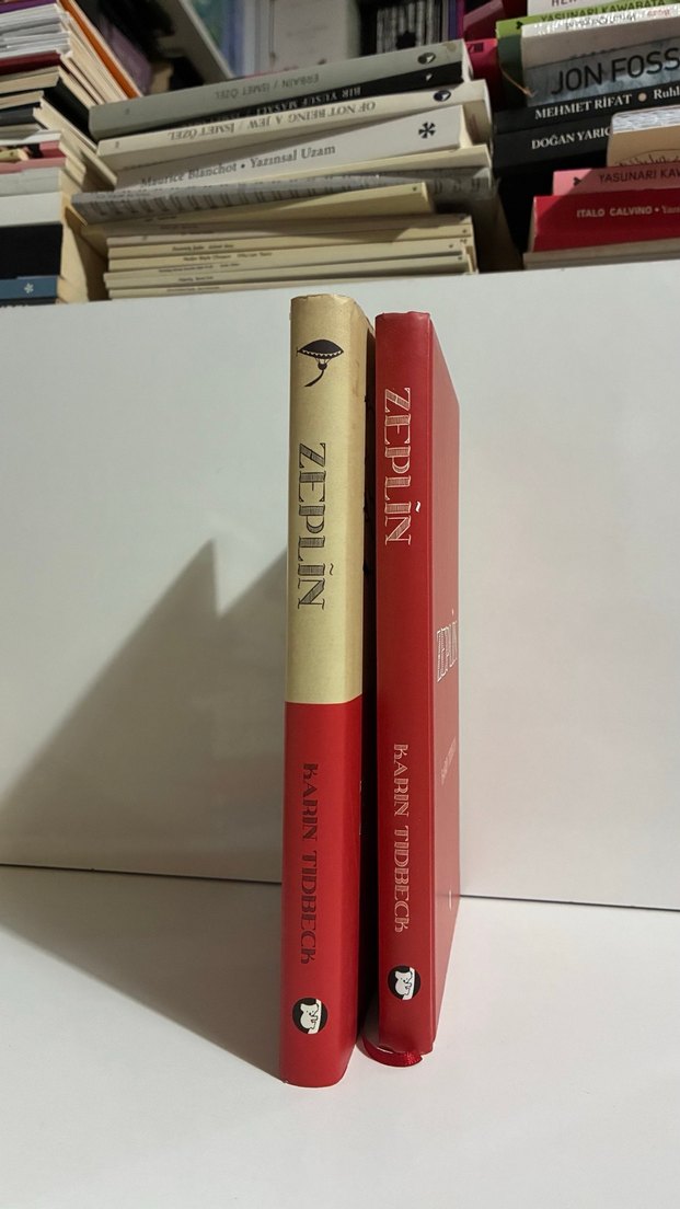 Zeplin - Karin Tidbeck - Görsel 2