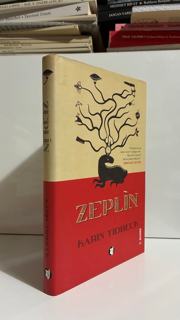 Zeplin - Karin Tidbeck - Görsel 3