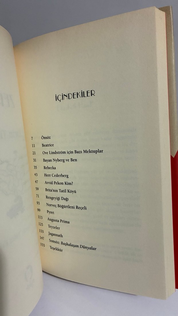 Zeplin - Karin Tidbeck - Görsel 4