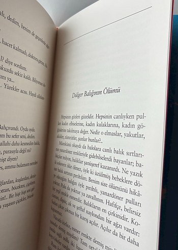 Seçme Hikayeler (Ciltli) Sait Faik - Görsel 7