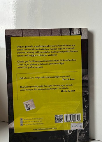 Bayan de Souza'nın Son Dersi - Cyril Wong - Görsel 2