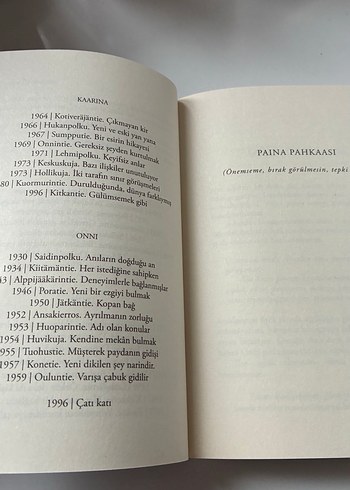 Tommi Kinnunen - Dörtyol Ağzı - Görsel 7