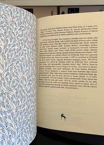 Rainer Maria Rilke - Cézanne Üzerine Mektuplar - Görsel 3