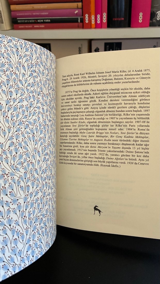 Rainer Maria Rilke - Cézanne Üzerine Mektuplar - Görsel 3