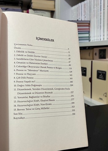 Jerónimo Pizarro - Pessoa Yaşadı mı? - Görsel 5