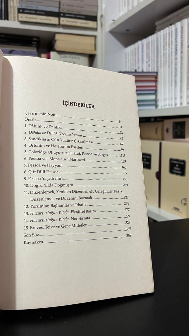 Jerónimo Pizarro - Pessoa Yaşadı mı? - Görsel 5