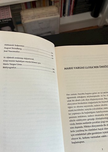 Sanatın Dönüşümü - René Girard - Görsel 6