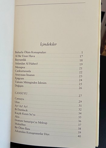 Can Yücel - Ölüm ve Oğlum - Görsel 3