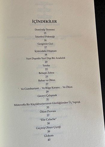 Oğuz Demiralp - Avare Kalemden Yazıntılar - Görsel 4