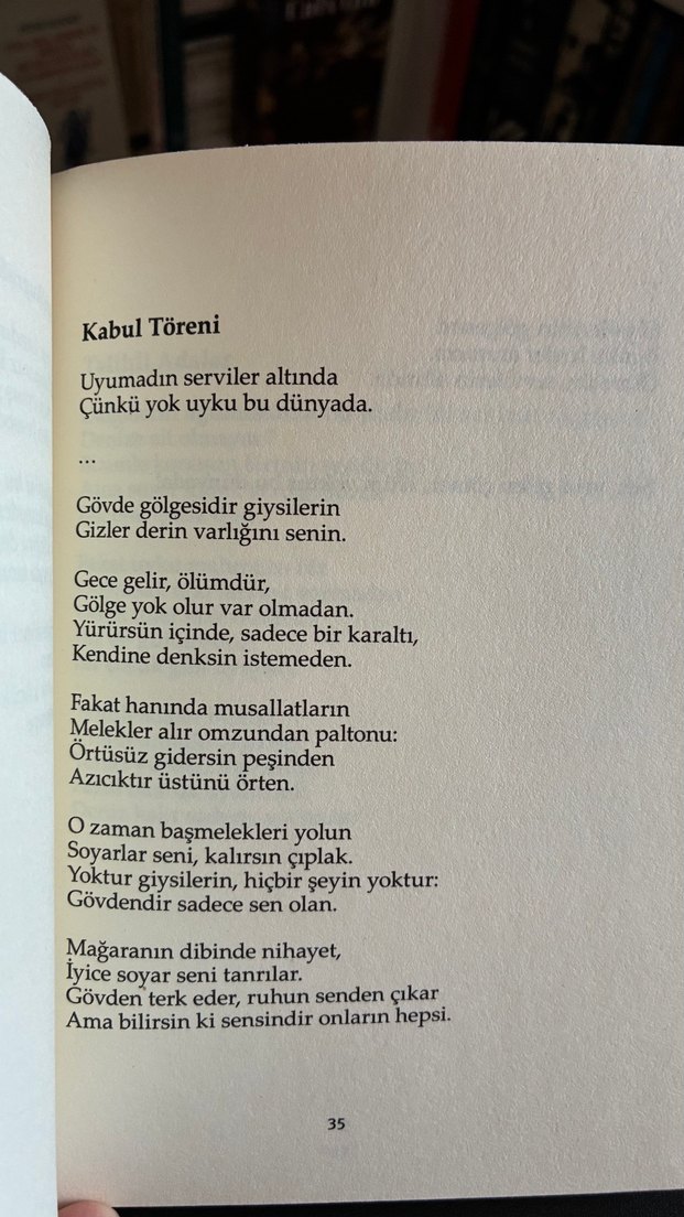 Fernando Pessoa - Hiçliğin Bilgisi - Görsel 3