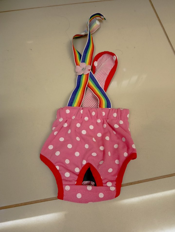 Renkli Köpek Tulumu - Görsel 3