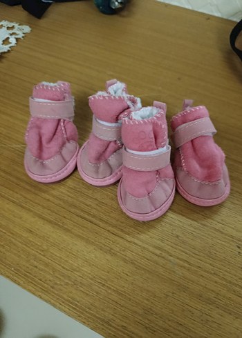 Evcil hayvan Ayakkabısı - Görsel 2