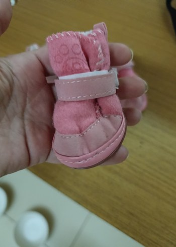 Evcil hayvan Ayakkabısı - Görsel 4