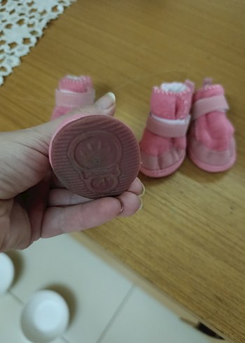 Evcil hayvan Ayakkabısı - Görsel 3