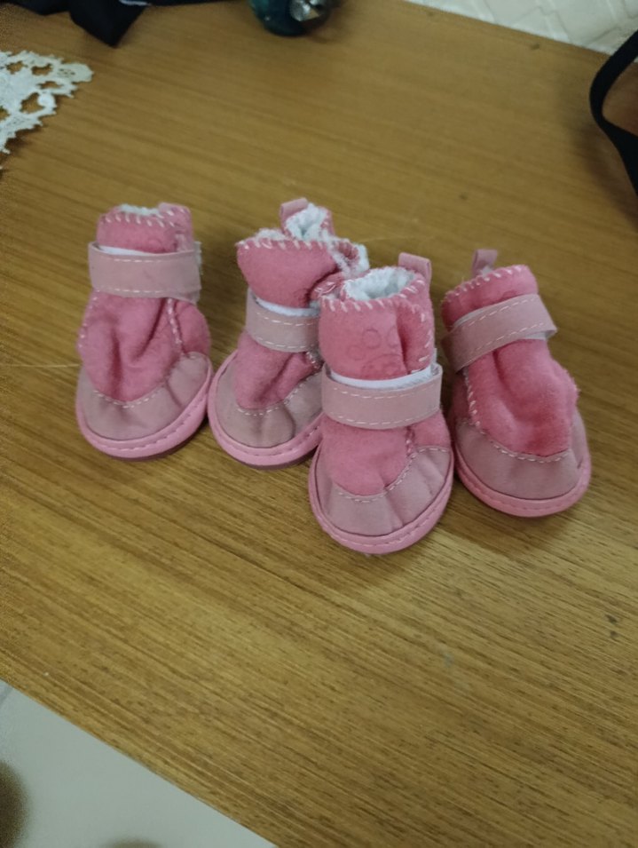 Evcil hayvan Ayakkabısı - Görsel 2