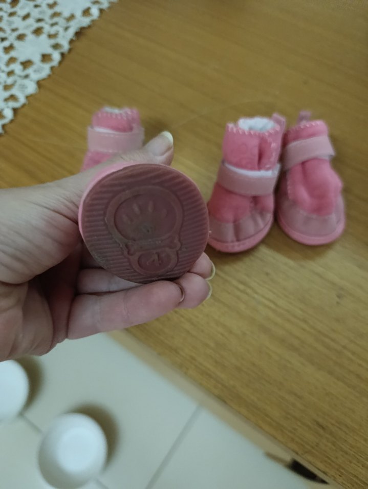 Evcil hayvan Ayakkabısı - Görsel 3