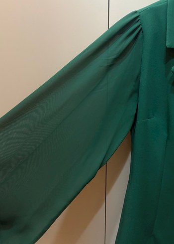 Kadın Yeşil Piliseli Uzun Ceket Elbise - Görsel 3