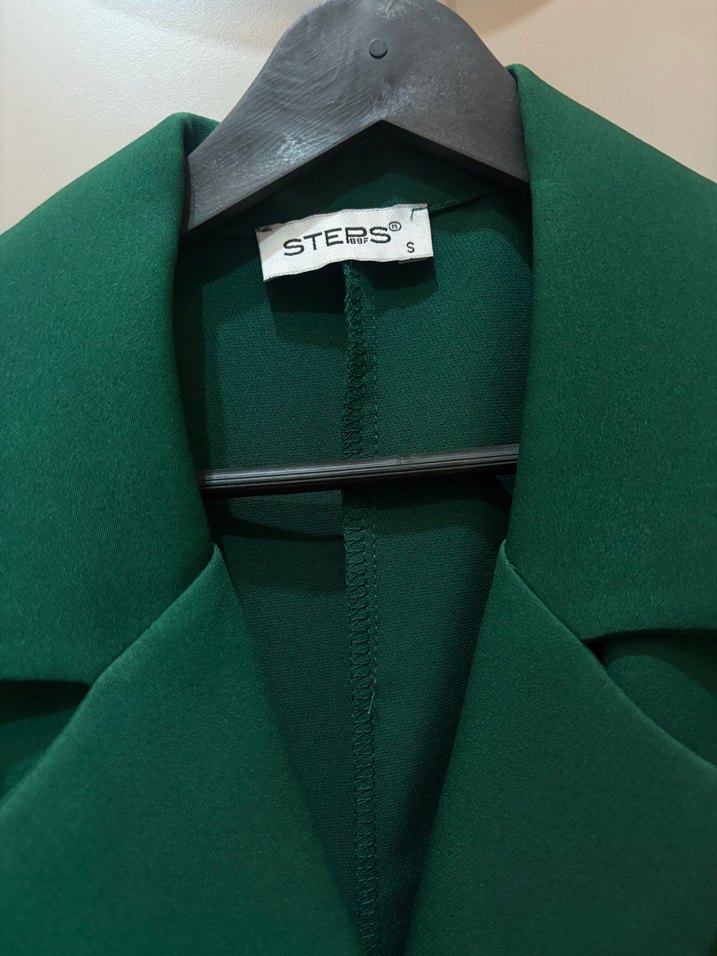 Kadın Yeşil Piliseli Uzun Ceket Elbise - Görsel 2