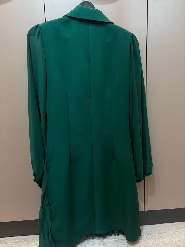 Kadın Yeşil Piliseli Uzun Ceket Elbise - Görsel 5
