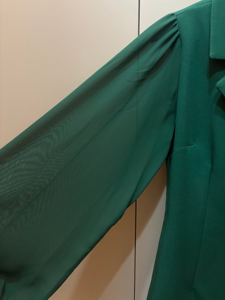 Kadın Yeşil Piliseli Uzun Ceket Elbise - Görsel 3